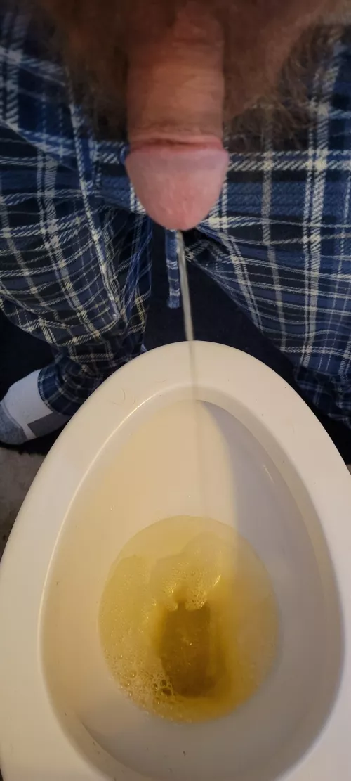 Morning piss