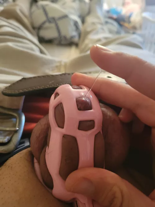 My clitty is so wet and leaking!! Locked throughout work, it sucks I can't be my fem self there. Can't wait for her smaller cage!!