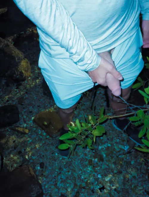 Need a nice bro asap. I'm so horny right now (25m)