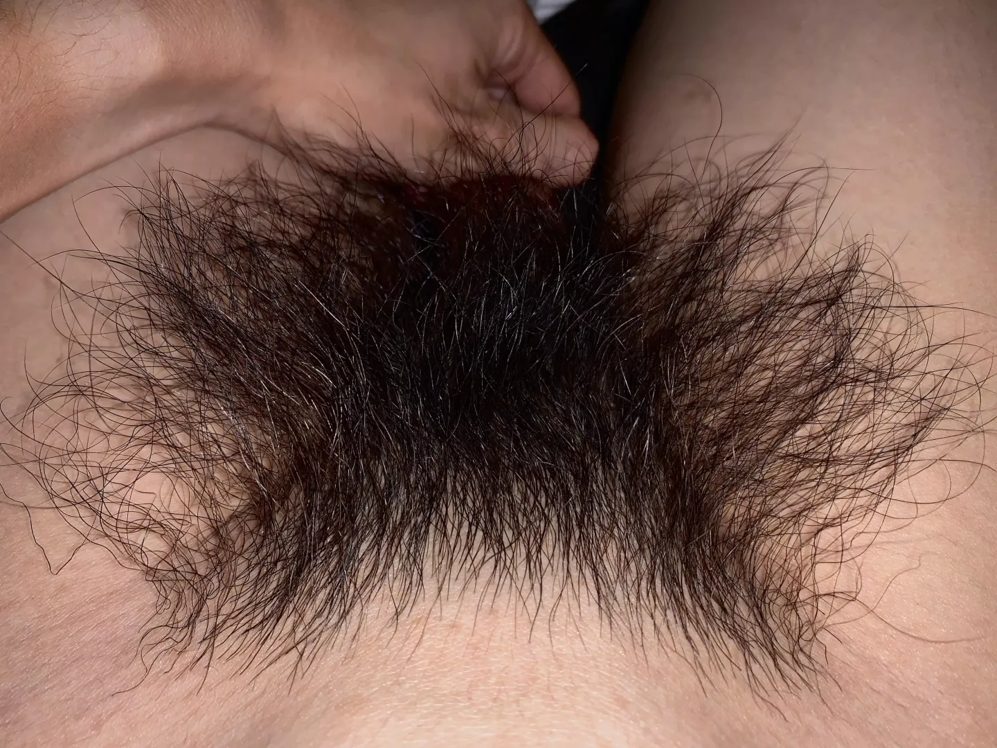 Should I let it grow more or trim it back… what do you think? It’s getting so thick!