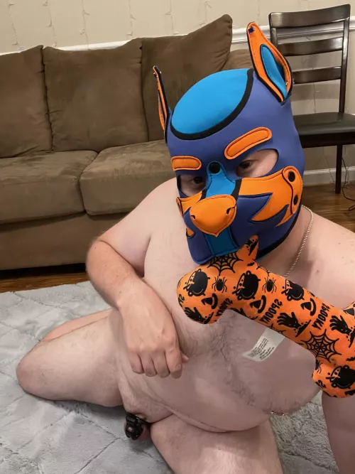 Wanna play with puppy?