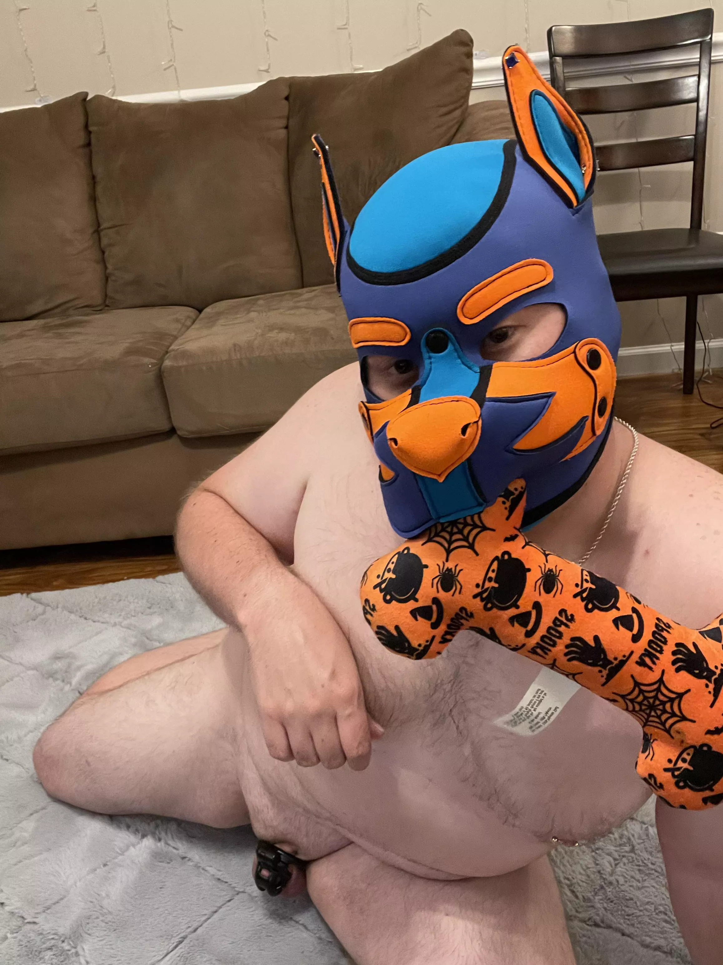 Wanna play with puppy?