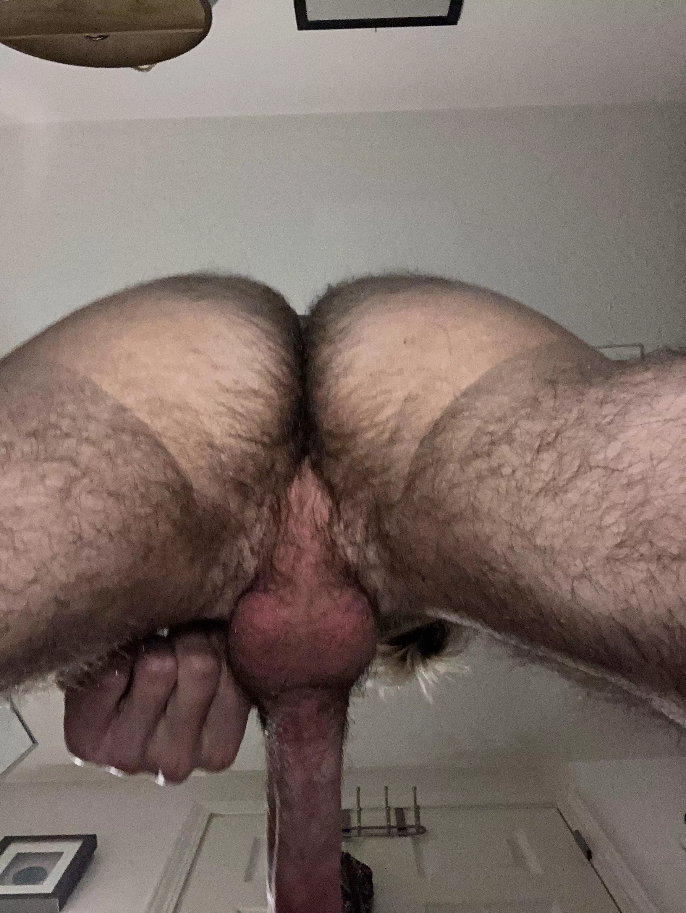 24– new angle, hope this angle gets accepted here!