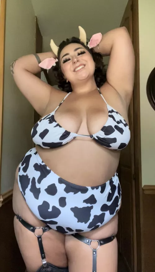 Ask me anything? New to the hucow community!