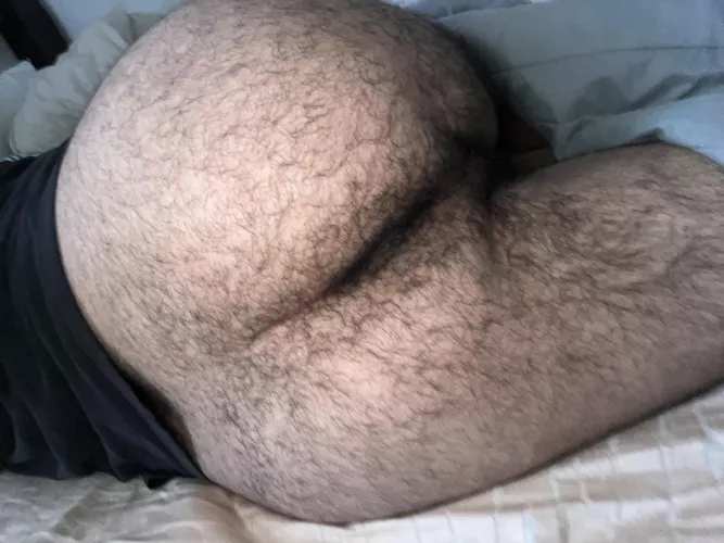 my furry hole wanted to tell you good morning 🧸