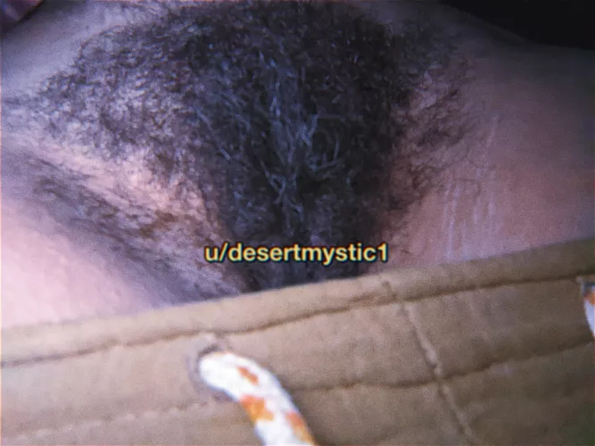 😼 smell my kitty 👃🏼