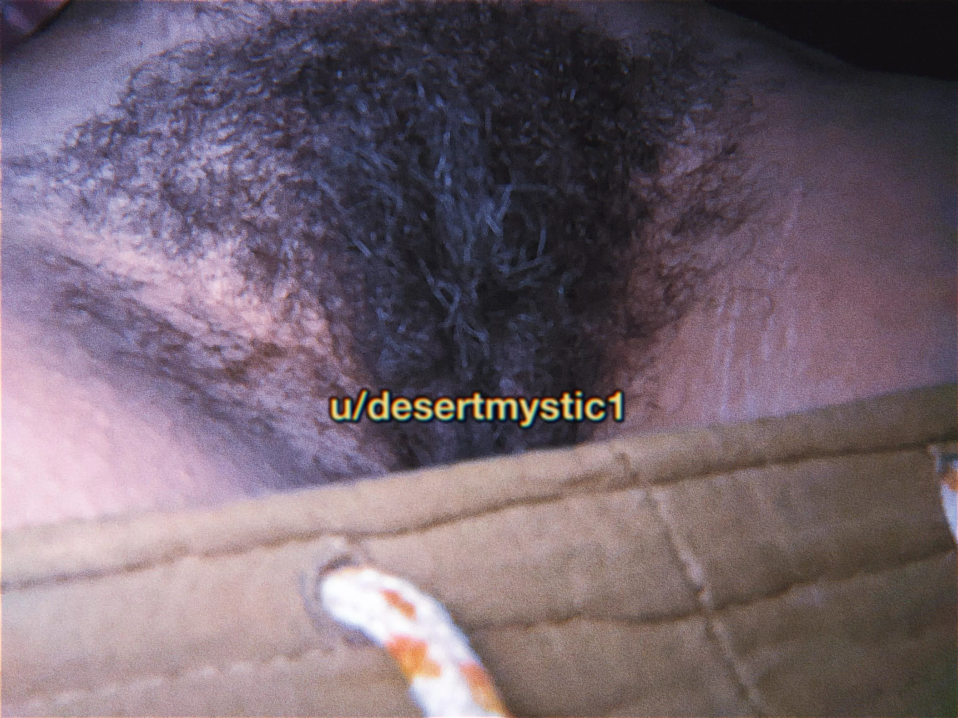 😼 smell my kitty 👃🏼