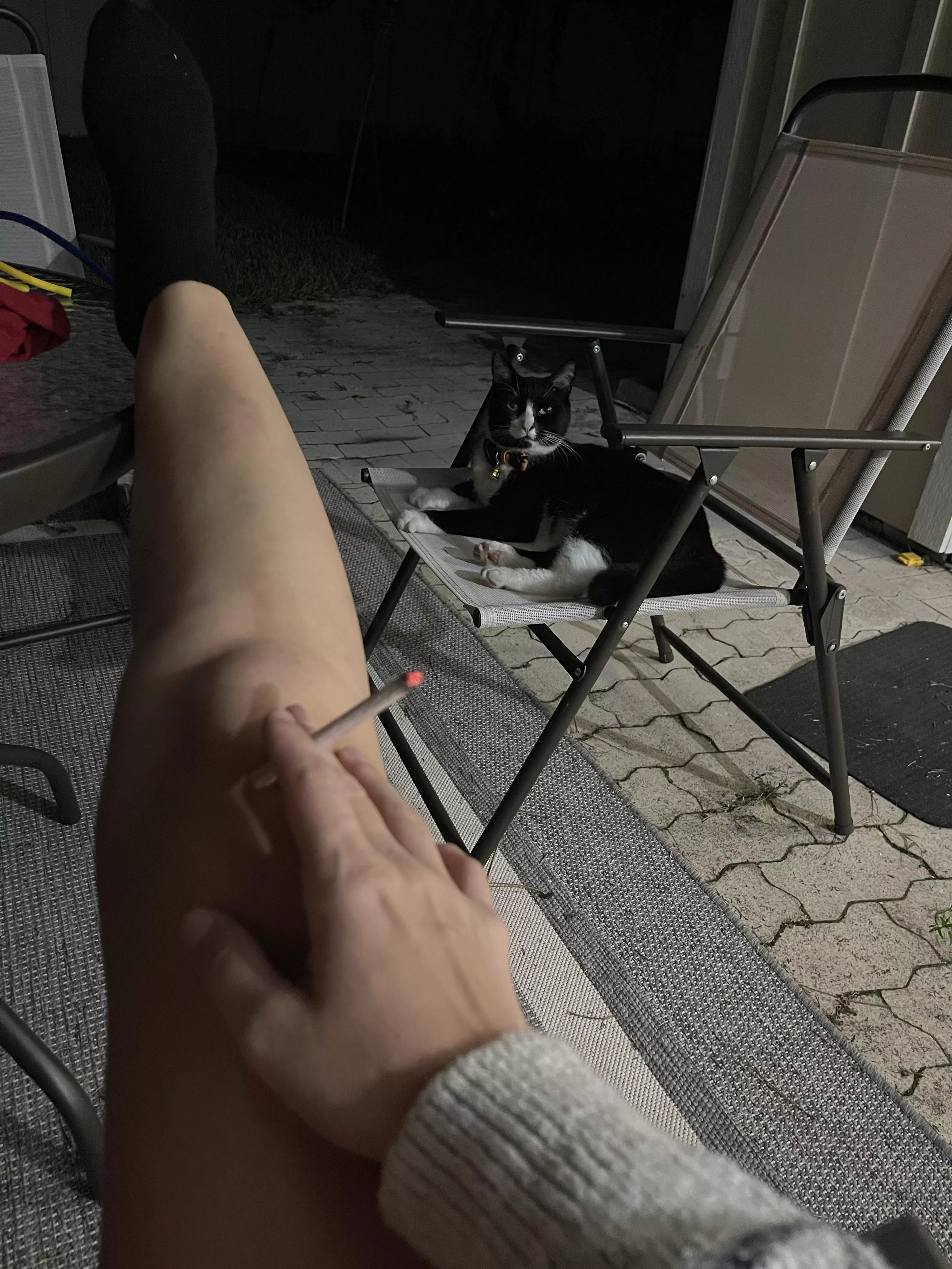 My cat looks higher than I am 😅