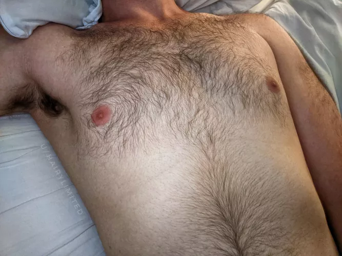 soft fur