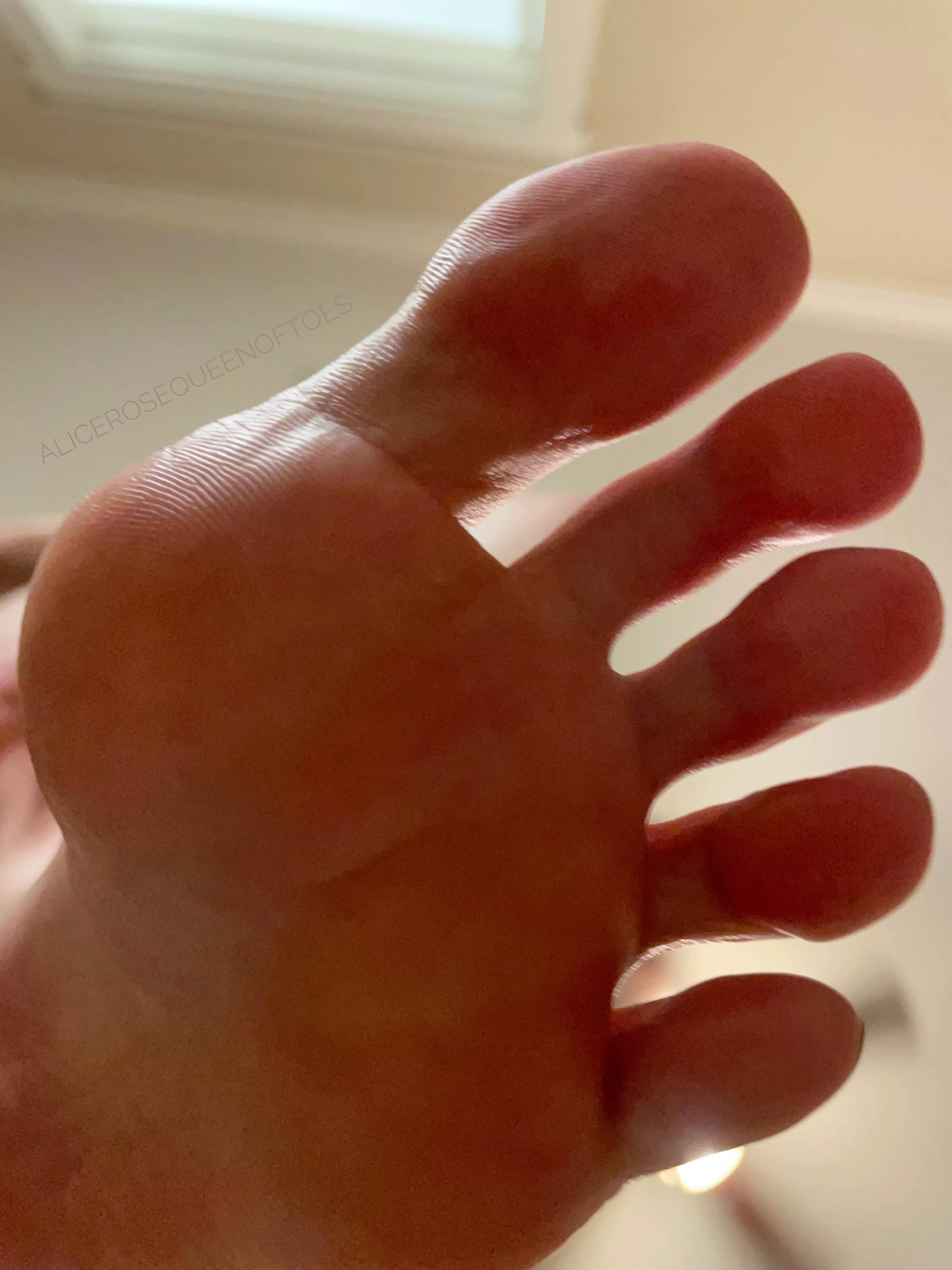 TGIF! Hopefully you don’t mind getting smothered by my toes 😉