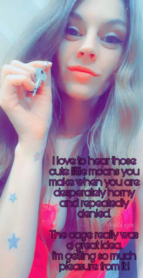 The cage was such a great idea! I'm getting so much pleasure from it