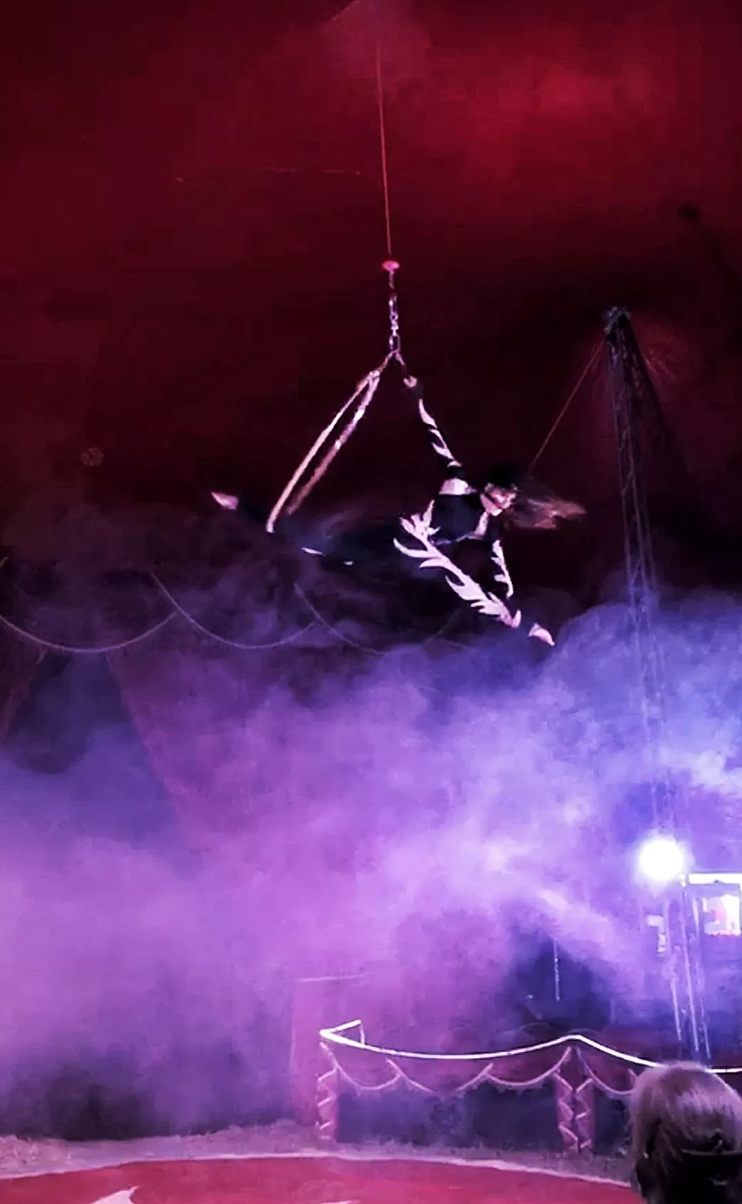 🎪Unemployed Former Circus Acrobat🎪 | ❤️Would Mean A Lot If You Subscribed To Me As OF Is My ONLY Source Of Income❤️ | 🍿Link In The Comments🍿