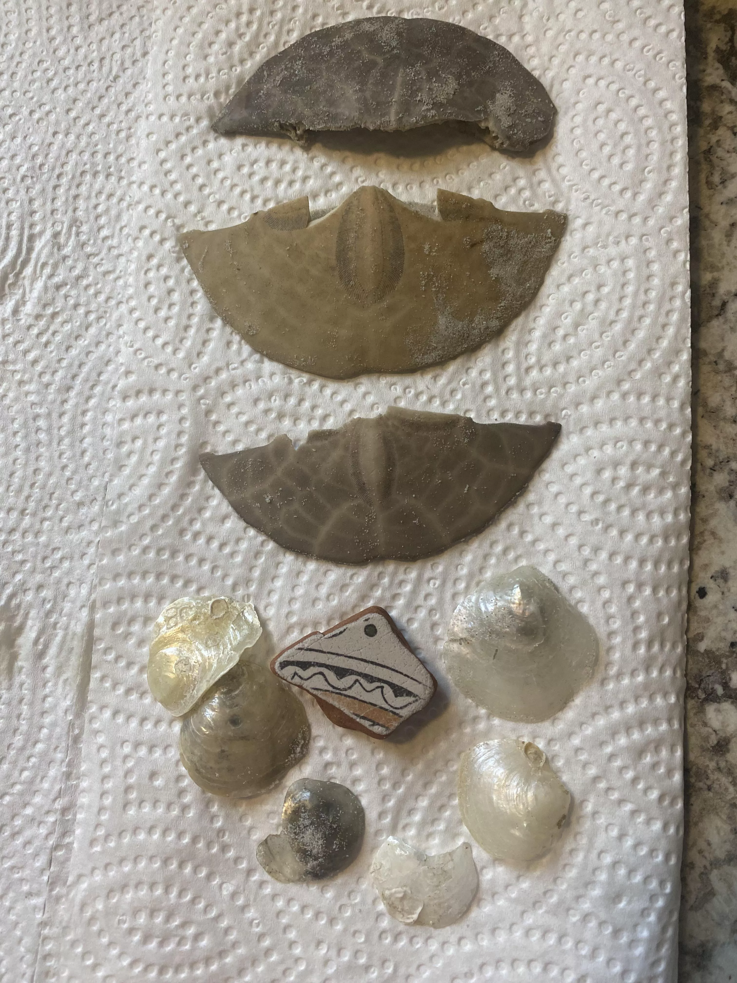 Beachcombing finds still a noob but I found tile (nsb, Fl)