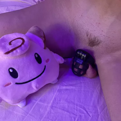 Chastity check 💖⛔️💦🍑 Day 6