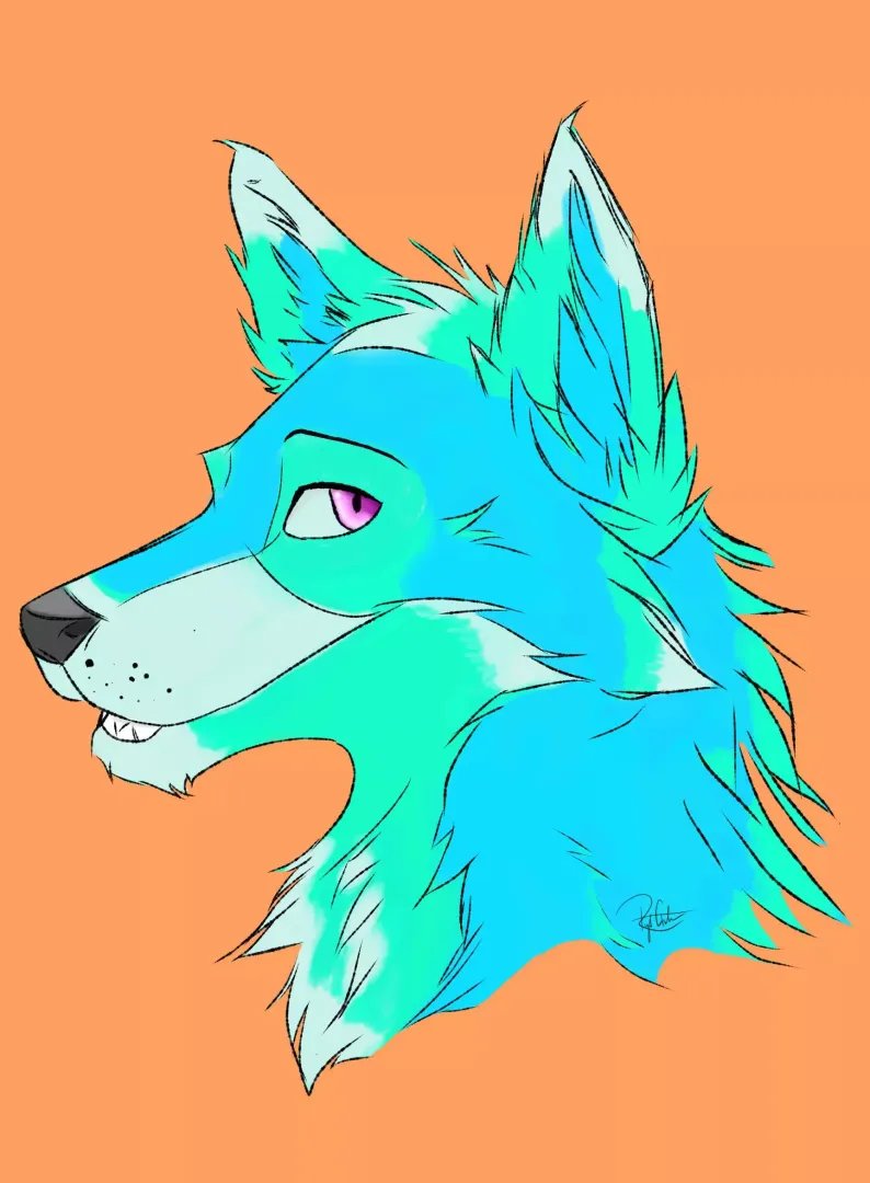 I need a name. I just made my fursona but I have no idea what to call him.