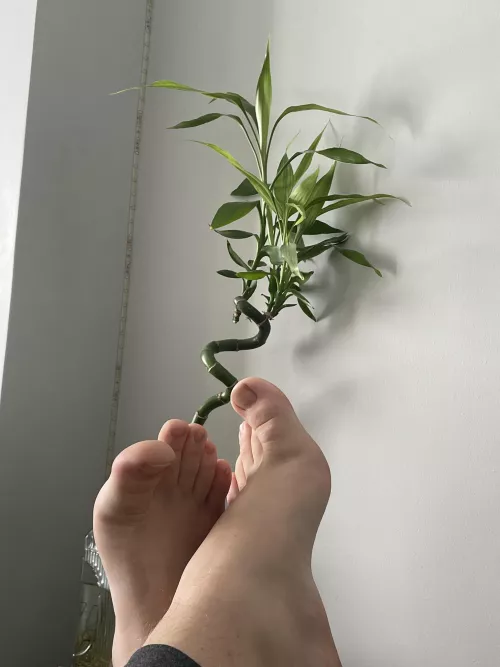 i’d love to see ur feet