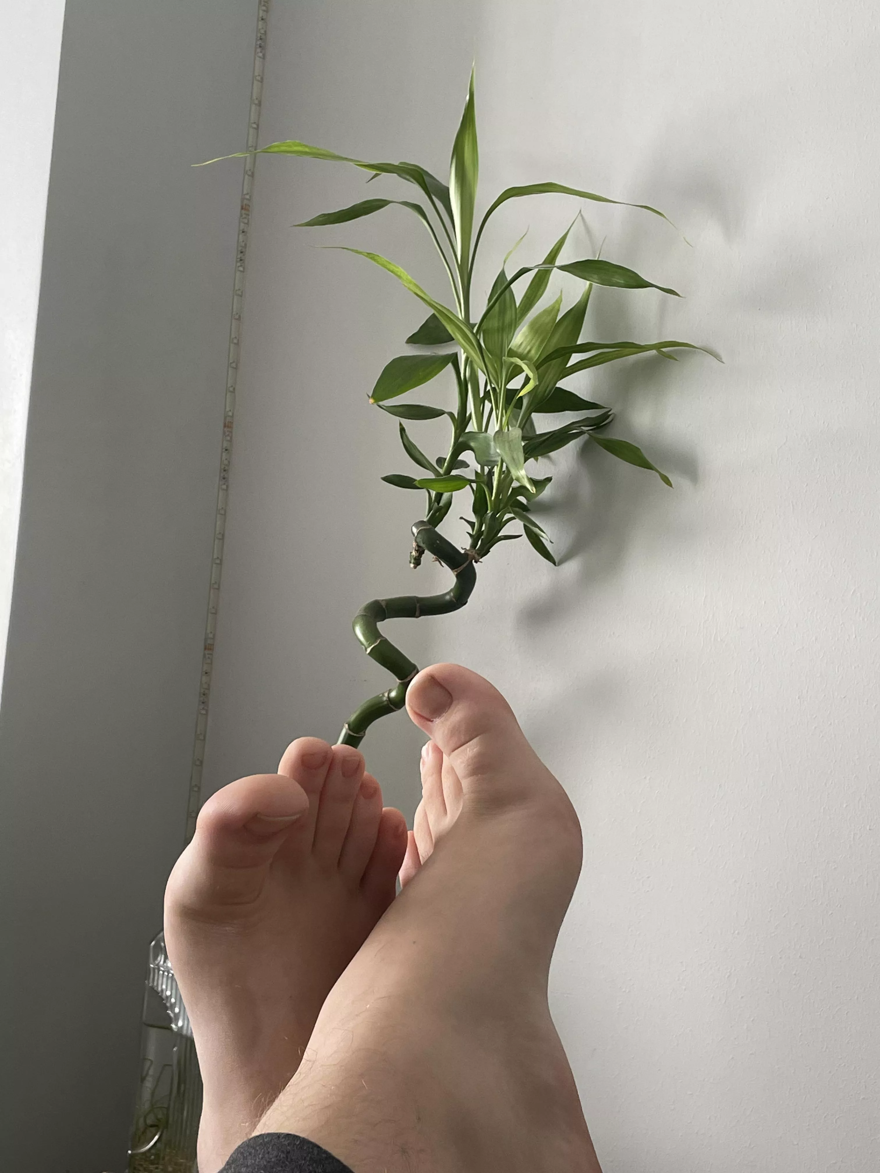 i’d love to see ur feet