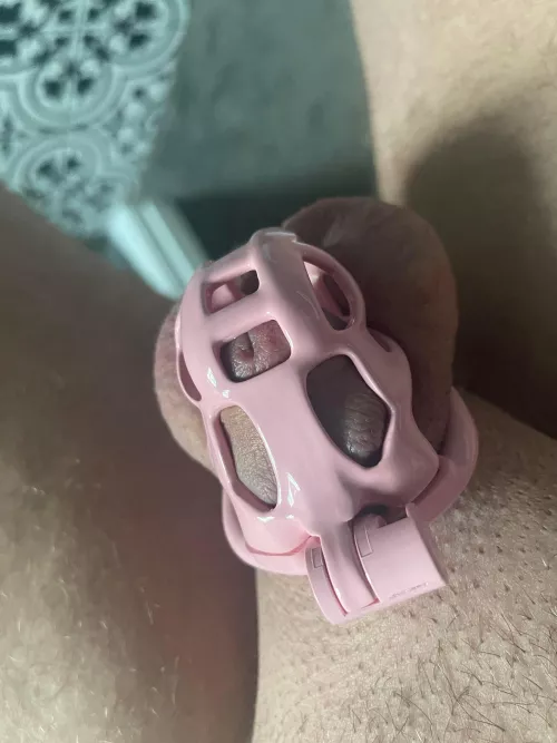 It’s locktober! Let me lock you sissy cuck up