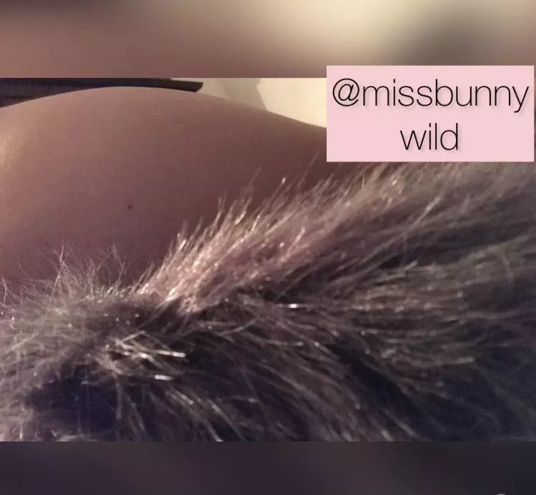 I’ve got the best pics from an upper angle wearing this foxy anal plug, if you want them they’ll be yours 💖I love them!