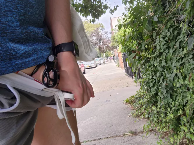 Quick outdoor cage check