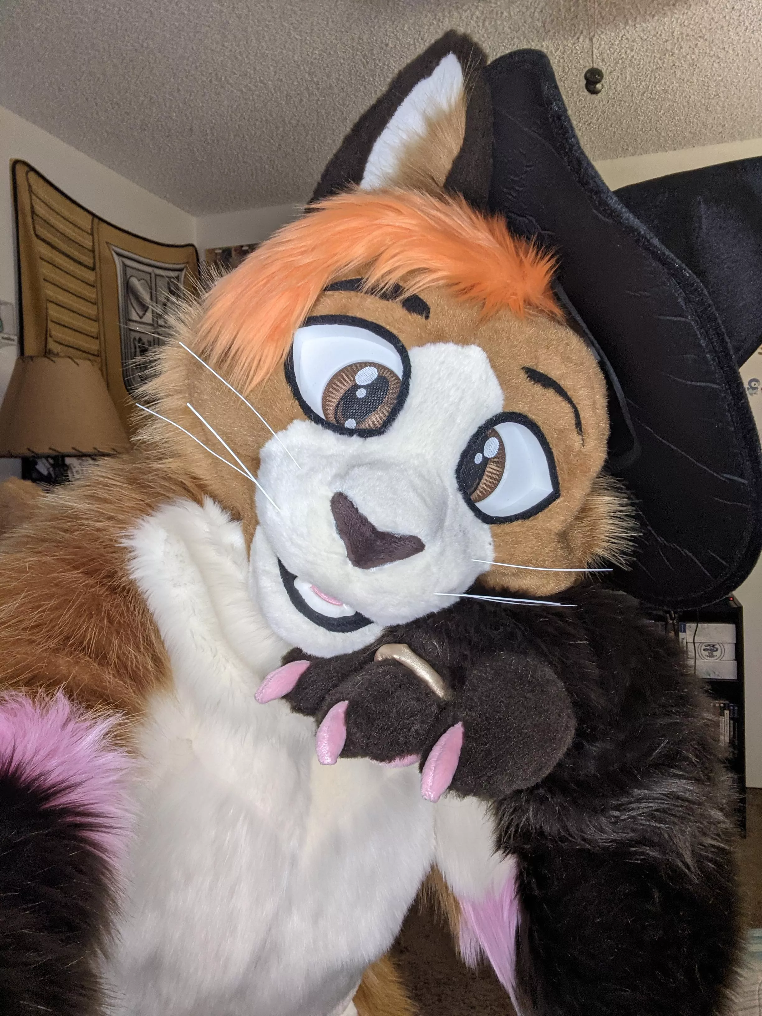 The time is near 🎃🕸️