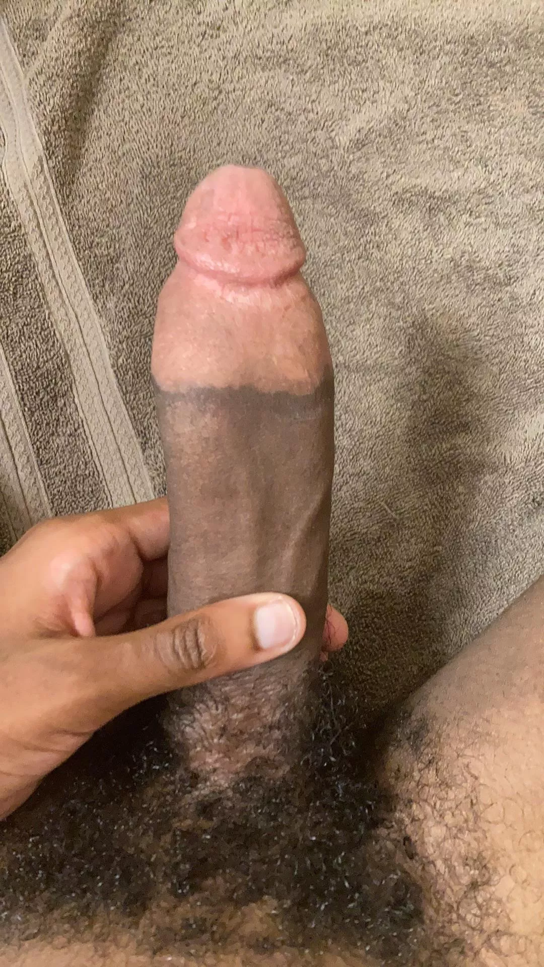 19 top looking for any chub bear bottom dads