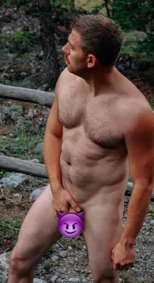 Adventure into the woods with me ?