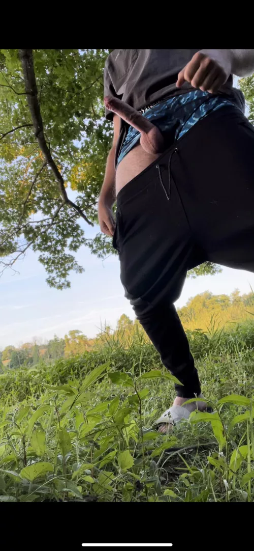 Got a bit excited on my hike earlier ;) almost got caught