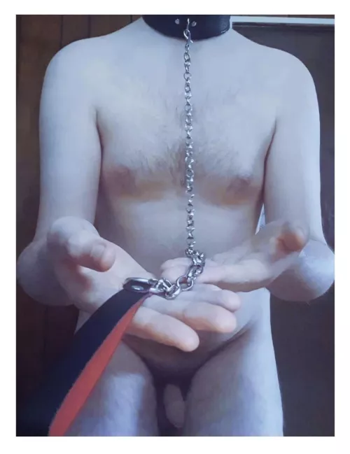 I miss having my leash pulled 😪 Wish I could serve