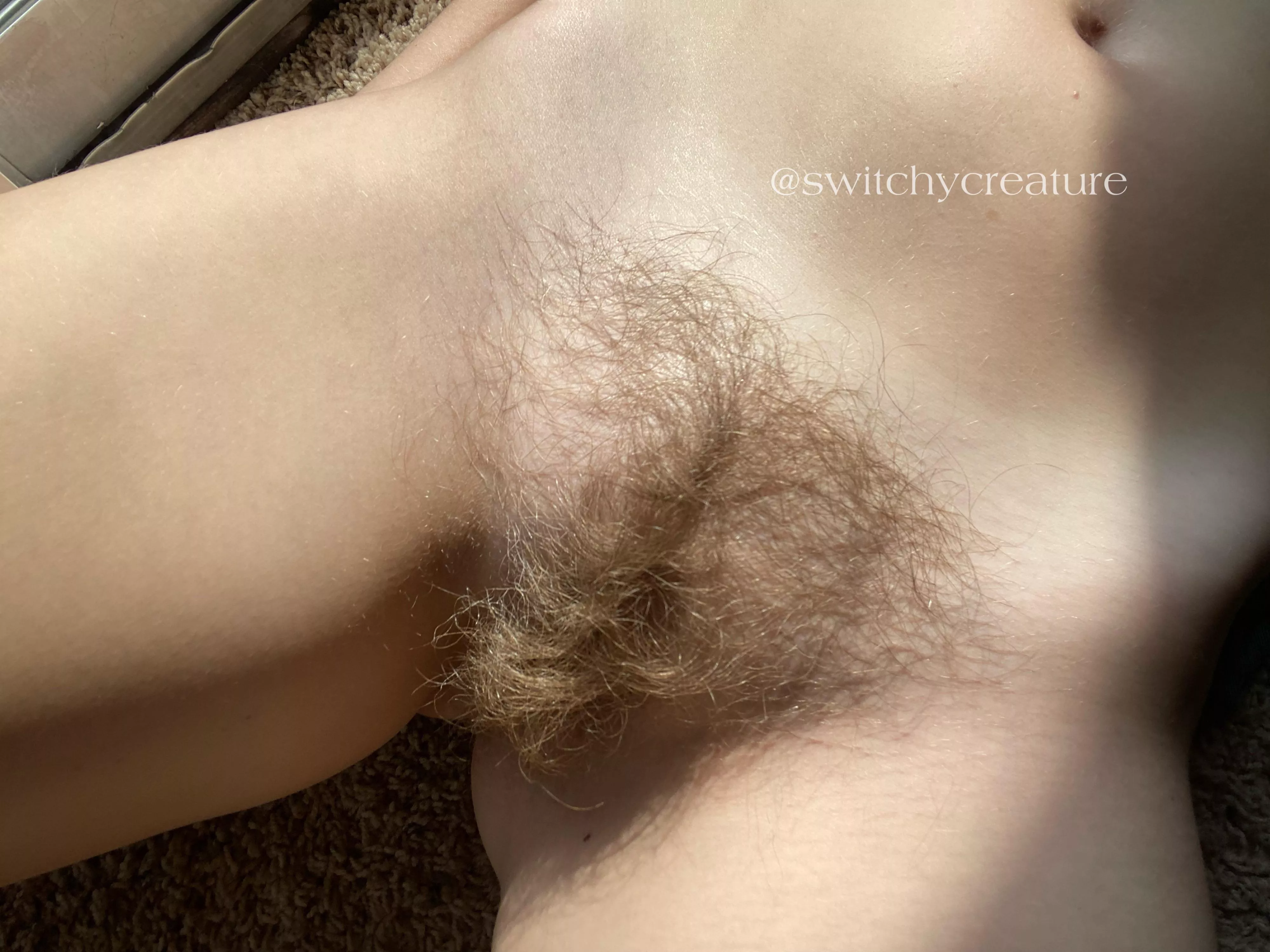 Isn’t she pretty in the sun?