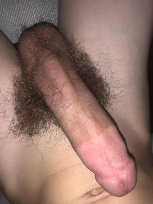 Its sensitive go slow