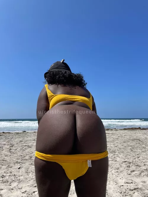 can I be your beach bum?