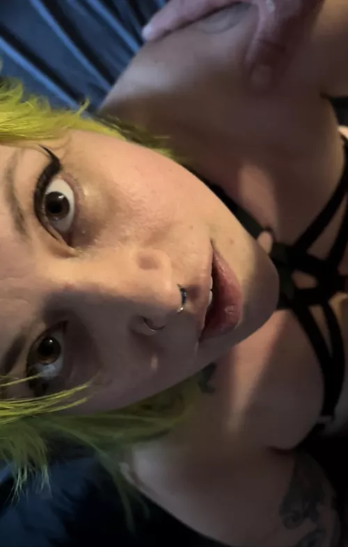 [domme]Am I looking up at my bull or am I putting the perma lock on your pathetic little clit?