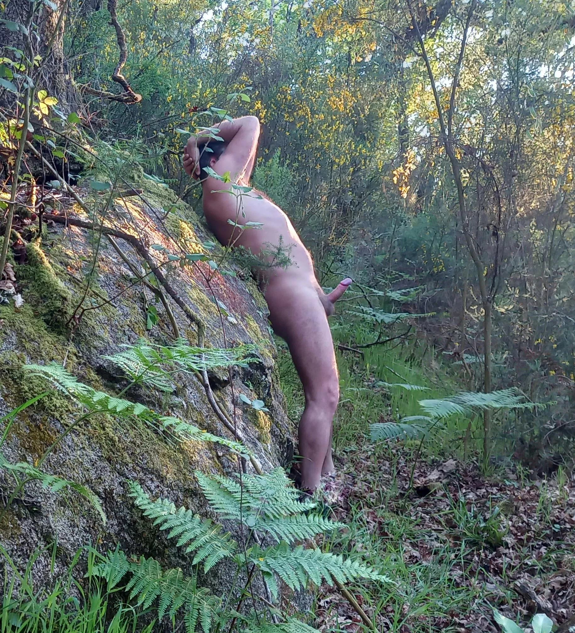 forest boner sunbath