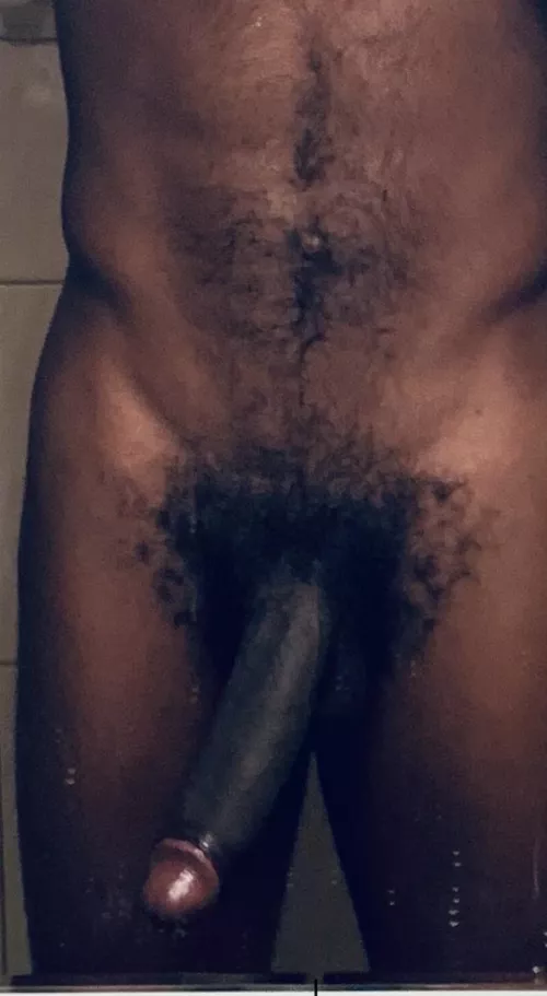 growing the bush back