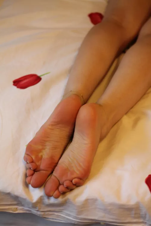 I'm going to lotion them later this afternoon