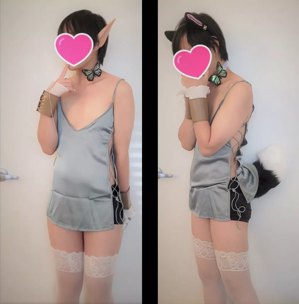 Pointy elf ears or pointy dog ears with a bouncy tail?