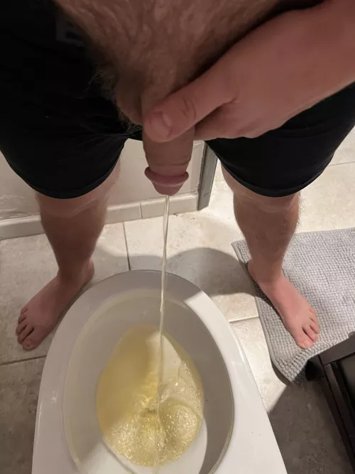 Who’s going to replace my toilet in the future??