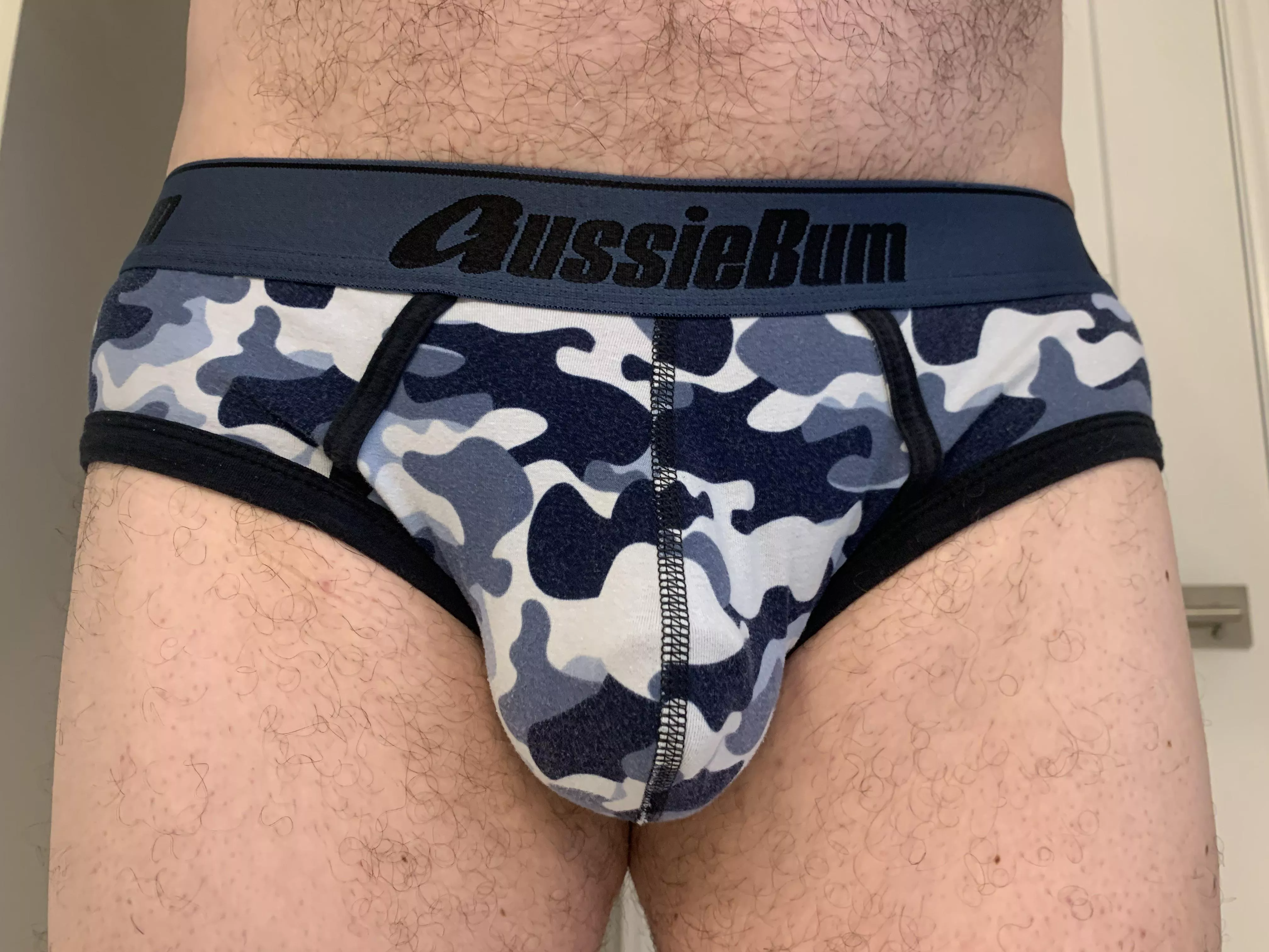 AB Briefs