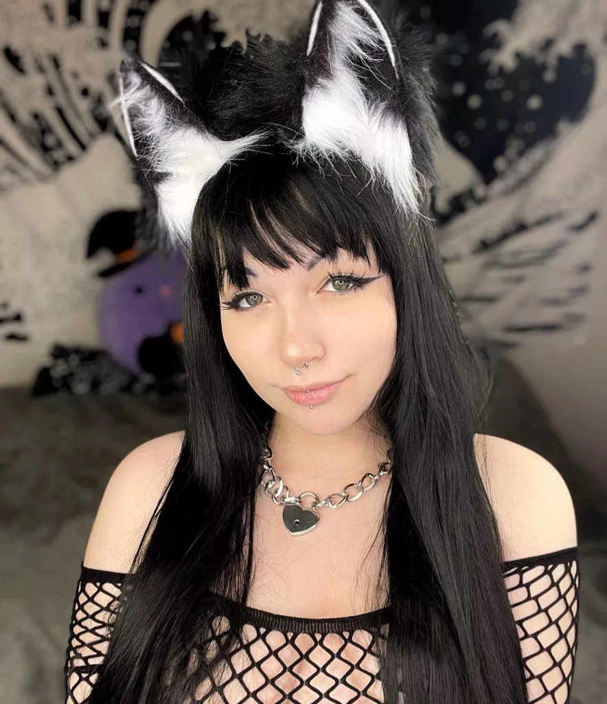 Breed this puppy girl? 💖