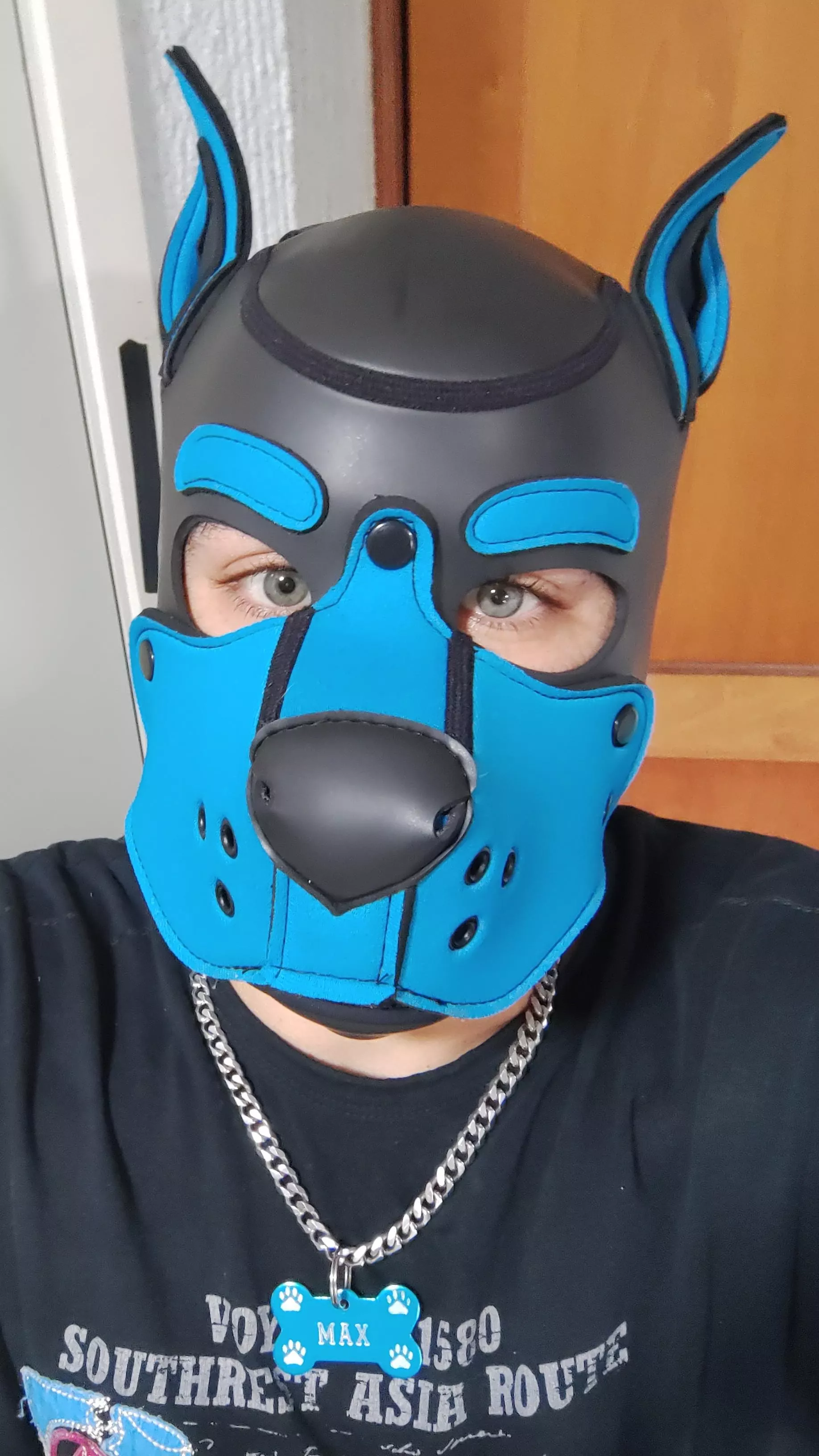 Hi! I'm Max 🐾 and I want more puppy friends!! woof! 🐶