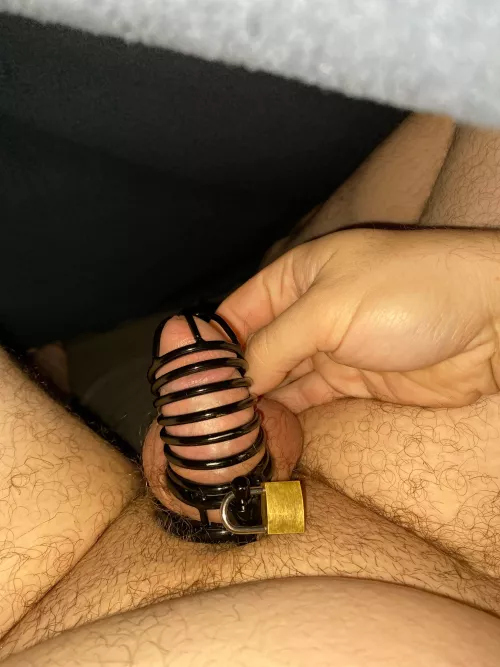 I need a friend to talk to about life with a cage and… other related things. I have no one in my personal life I can talk to about these things.