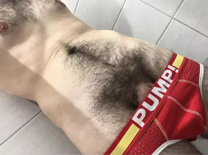 Young otter from France 😊