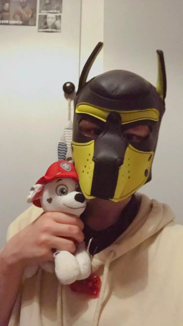 Any other pups love Paw Patrol??🐾