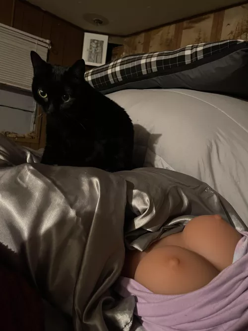 Black pussy with white titties