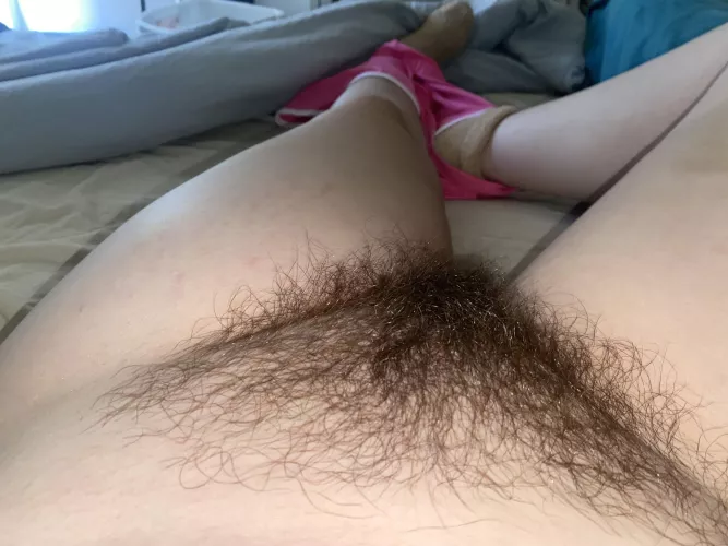 Imagine waking up next to this bush🙈