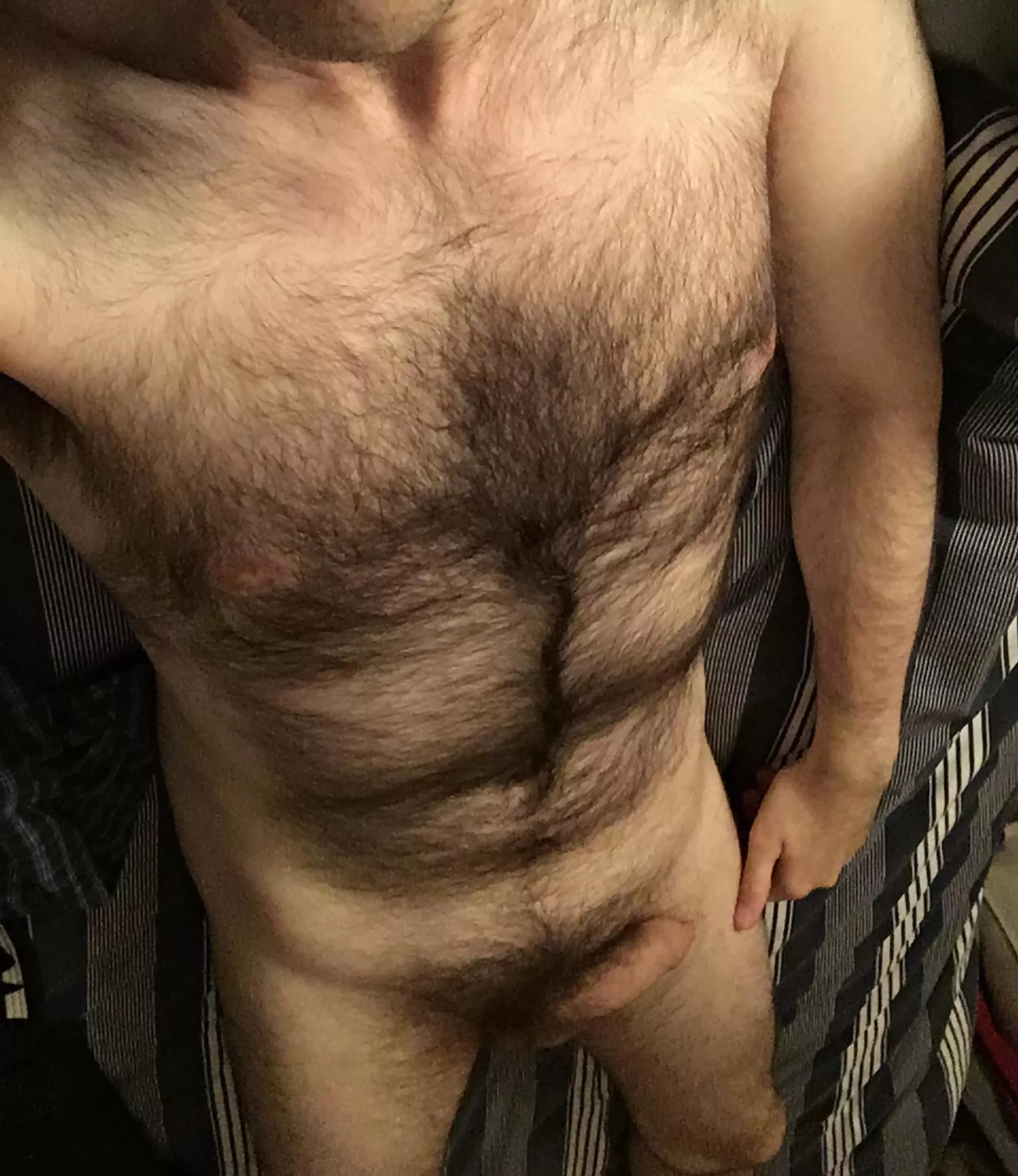 I’ve realised that people only really engage with my pics when I show either my chest or my dick. So here you all are, for the first time, both together.