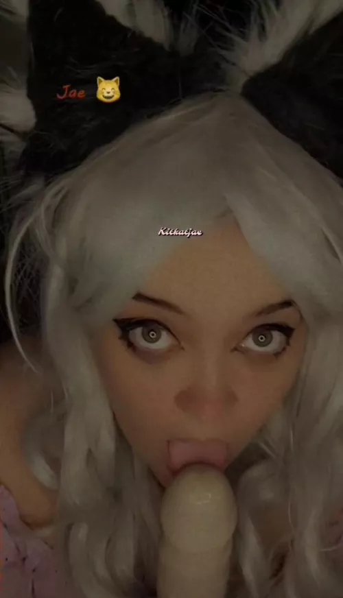 Kitty lick lick licks 😋