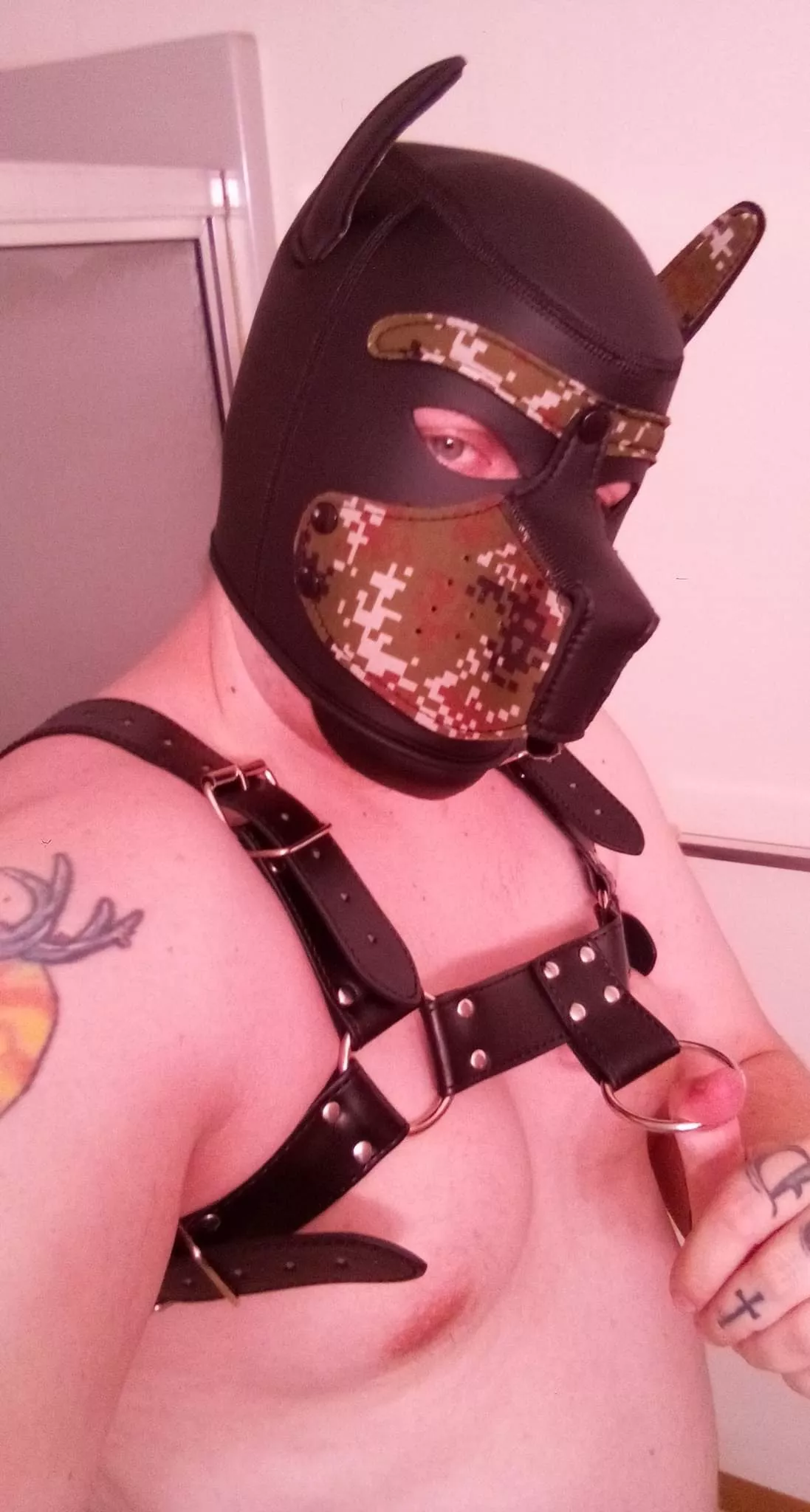 Awoo looking to bury my 🦴