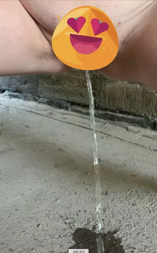 Peeing under a bridge